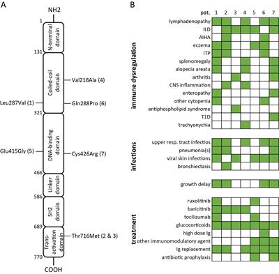 JAK inhibitors to treat STAT3 gain-of-function: a single-center report and literature review